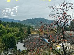 -塔川景区