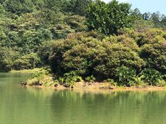 -广州白江湖森林公园