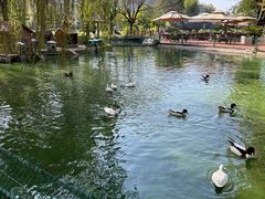 -瑞博尔花园酒店(太周创新产业园店)