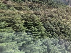 -苍山感通索道