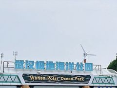 -海合安武汉极地海洋公园