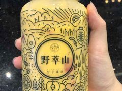 -野萃山·潮汕厚果汁(十亩地店)