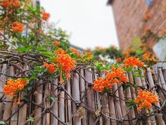 -广州西关永庆坊旅游区
