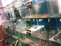 水产区-胖大嫂渔家排档·全海景餐厅(渔村店)