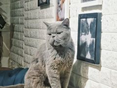 -平行世界·猫咖(首经贸店)
