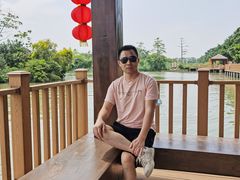 -大湾区中央湿地公园