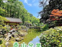 -南山植物园