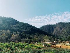 -广州市石门国家森林公园