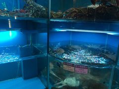 水产区-协成海鲜火锅(海洋花园店)