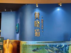 -黄晓猫剁椒大鱼头(海岸城店)