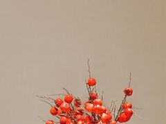 -柿合缘新京菜(国金中心商场店)