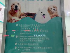 -佳雯宠物医院(金华南路分院)