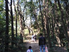 -火炉山森林公园