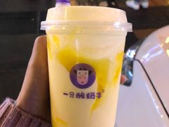 -一只酸奶牛(八一路店)