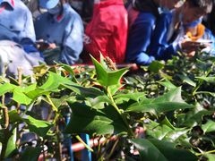 -韶山毛泽东同志故居