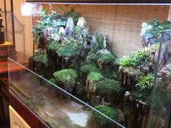 -双季花艺园艺市场(浦东店)