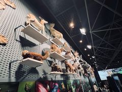 -浙江自然博物院(杭州馆)
