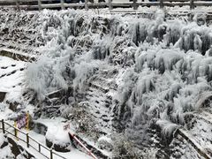 -陕西省红河谷森林公园