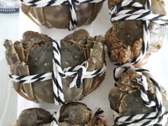 -七的湖·晚芳亭·阳澄湖农家菜·大闸蟹(莲花岛店)