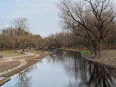 -上海共青森林公园