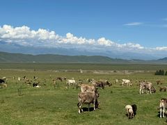 -新疆那拉提国家旅游度假区