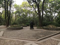 -上海佘山国家森林公园天马山园