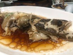 -宝轩渔府·老字号海鲜·正宗津菜(水上店)