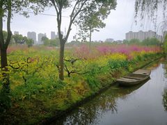 -南汇桃花村