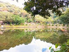 -广州市帽峰山景区