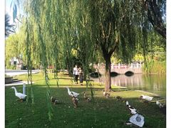 -东华大学(松江校区)