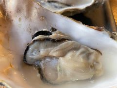 -矶野水产(澳门逸园中心店)
