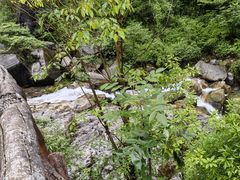 -鹿院坪生态旅游景区