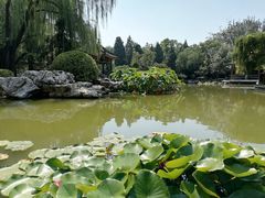 -宣武艺园