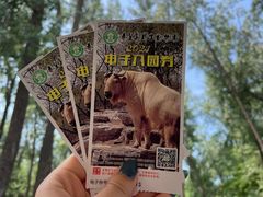 -秦皇岛野生动物园