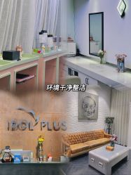 -IDOL-PLUS