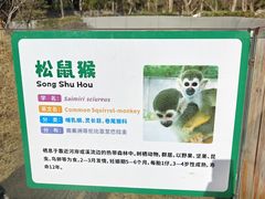-合肥野生动物园