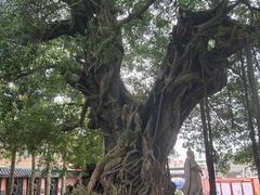 -闽粤南澳总镇府