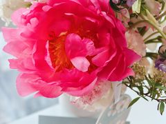 -梵克雅宝(国贸商城店)