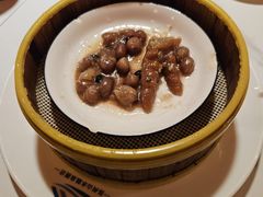 -山水温泉