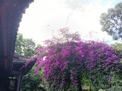 -成都杜甫草堂博物馆