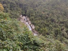 -海南热带雨林国家公园吊罗山景区