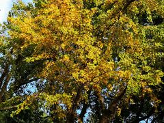 -苏州河梦清园环保主题公园