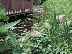 -苏州河梦清园环保主题公园