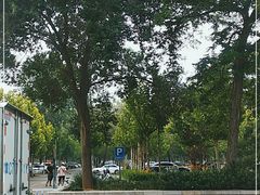 -秦皇岛野生动物园