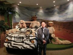 泰迪熊博物馆-济州岛泰迪熊博物馆