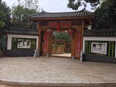 -山大王菌莊