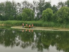 -溱湖国家湿地公园