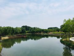 -东郊湿地公园