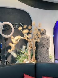 -TOP HAIR SALON
