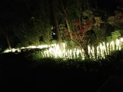 -济南方特东方神画